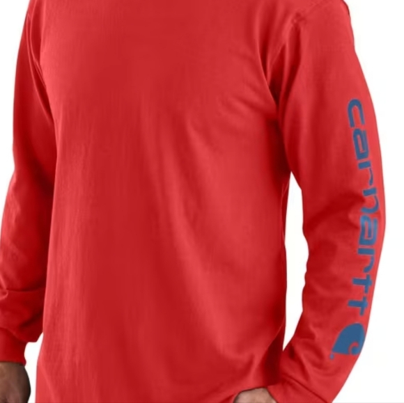 Carhartt Loose-Fit Heavyweight Logo Sleeve Graphic Long-Sleeve T-Shirt for Men - Picture 2 of 4